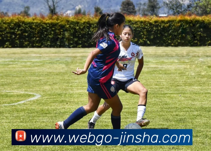 App Interface Preview